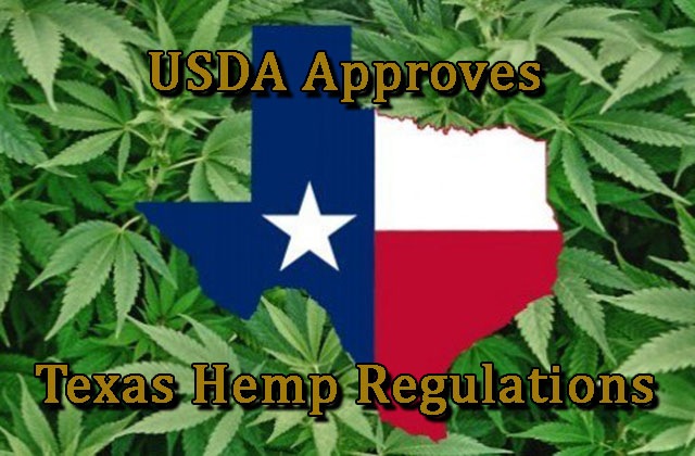 hemp regs of texas approved by usda